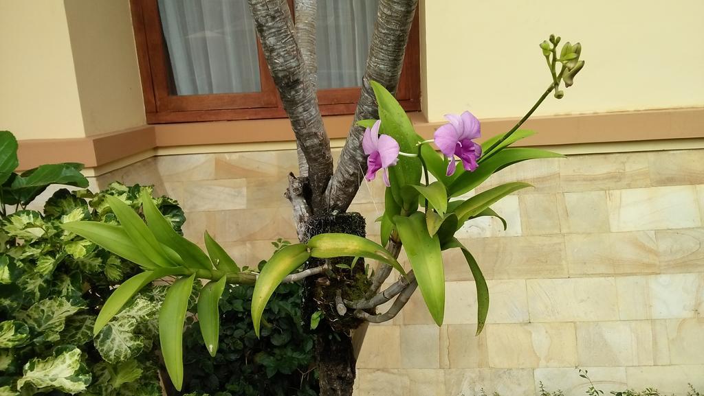 Roemah Canting Homestay Yogyakarta Exterior photo