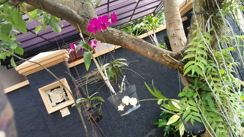 Roemah Canting Homestay Yogyakarta Exterior photo
